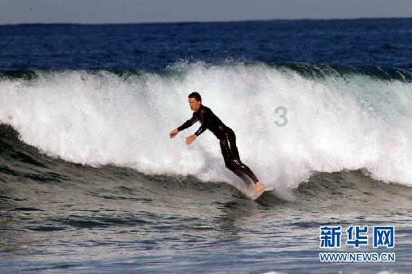 蜘蛛森林逃生
