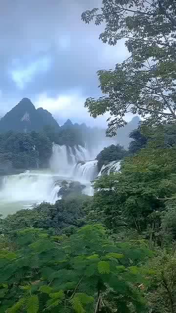 中华人民共和国和瑙鲁共和国关于恢复外交关系的联合公报(全文)