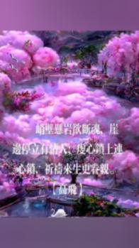 比萨挑战赛